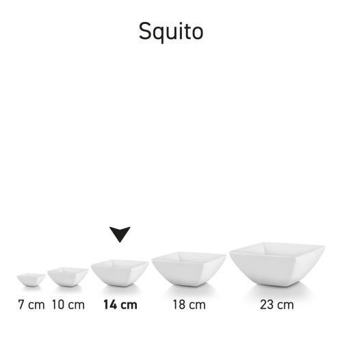 Serie van vierkante Squito kommen in porselein, overzicht van meerdere exemplaren samen in verschillende formaten.