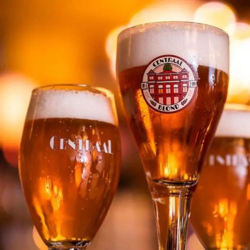 Harzer Pokal 25 cl tapmaat glas gevuld en met logo in een horecasetting