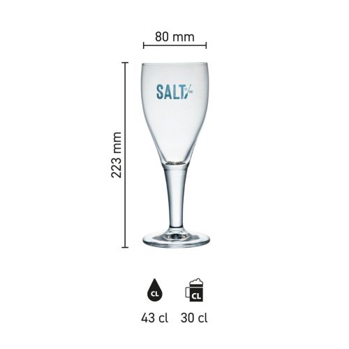 Maatvoering van het Harzer Pokal 30 cl tapmaat glas met hoogte, diameter en inhoud in infographic