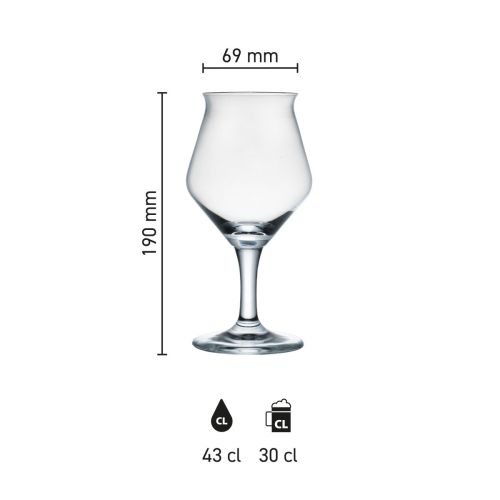 Maatvoering van de Sommelier Kelch Ritzenhoff 30 cl tapmaatglas met hoogte, diameter en inhoud in infographic