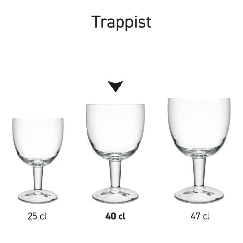 Maatvoering van het Trappist Glas 25 cl tapmaat met hoogte, diameter en inhoud in infographic