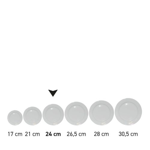 Reeks borden porselein in serie getoond met focus op grootte. Reeks borden porselein in serie getoond met focus op grootte.